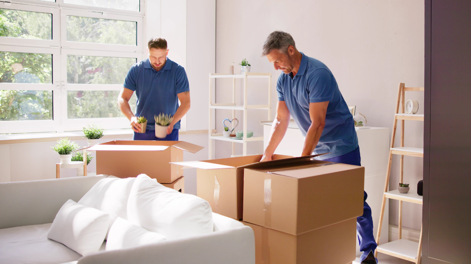 Professional mover on phone