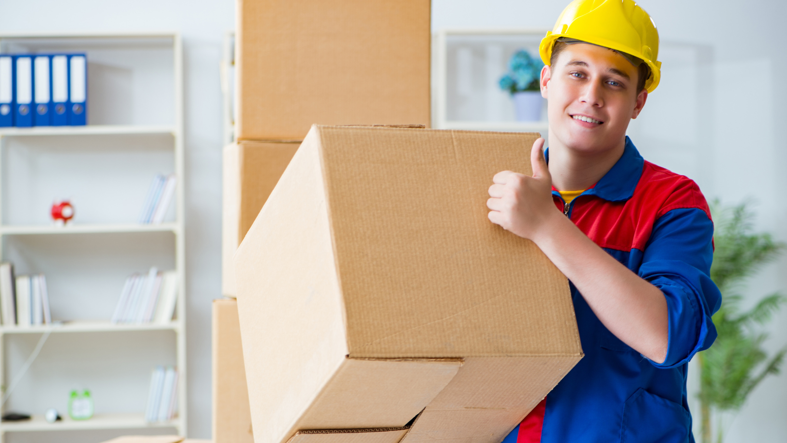 Professional realtor consultation
